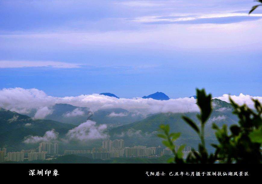 口袋森林世界杯传球大赛